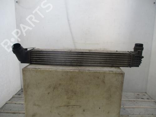 Intercooler RENAULT MEGANE III Hatchback (BZ0/1_, B3_) 1.5 dCi | BP28800761M30
