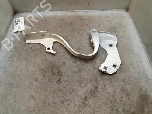 Hinge/Door check strap FIAT 500 (312_) 1.2 (312AXA1A) | BP26637464C146