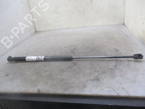 Used Hood lift support FIAT STILO (192_) 1.9 D Multijet (120 hp) 24156691