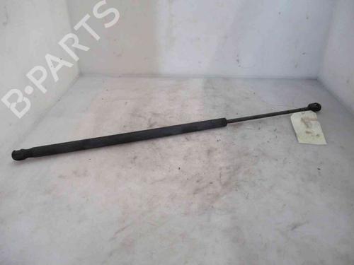 Used Tailgate lift support FORD FIESTA V (JH_, JD_) 1.25 16V (70 hp) 19734858