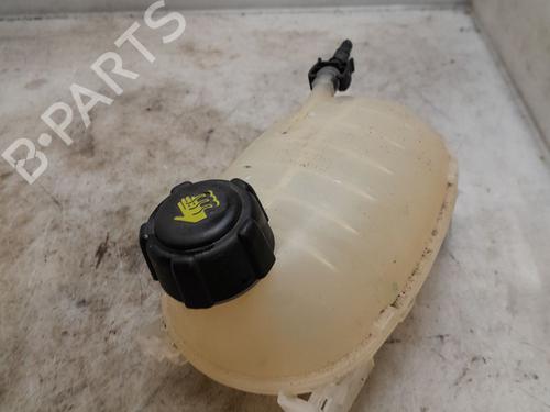 Used Expansion tank RENAULT CAPTUR II (HF_) TCe 100 (HFMT) (101 hp) 30581942