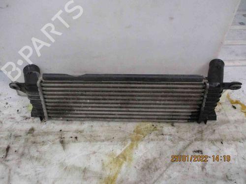 Intercooler RENAULT KANGOO (KC0/1_) 1.9 dCi 4x4 (KC0V) | BP26623936M30 