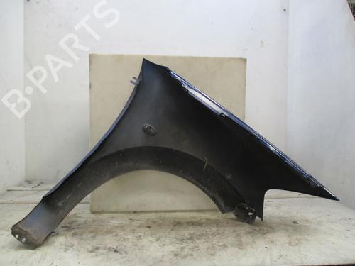 Left front fenders CITROËN C3 I (FC_, FN_) 1.4 HDi | BP24014328C41 