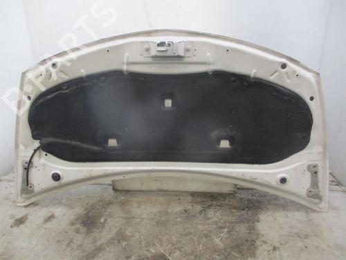 Hood RENAULT CLIO III (BR0/1, CR0/1) 1.5 dCi | BP27921078C1 