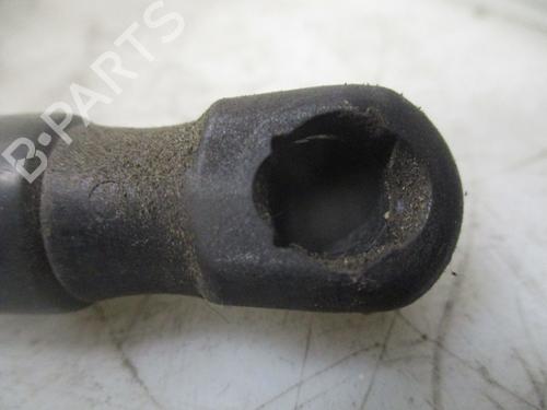 Tailgate lift support CITROËN C4 Picasso I MPV (UD_) 1.6 HDi | BP26638876C138 