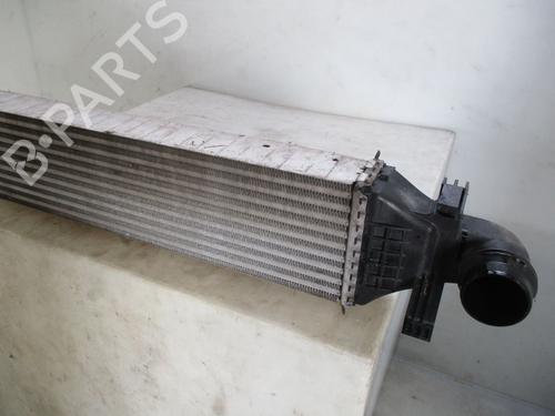 Intercooler MERCEDES-BENZ A-CLASS (W176) A 180 (176.042) | BP30865569M30
