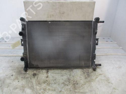 Køler RENAULT MEGANE II (BM0/1_, CM0/1_) | BP29984662M31