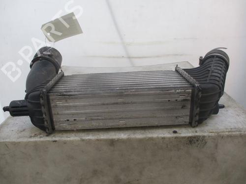 Intercooler CITROËN JUMPY II Van 2.0 HDi 120 | BP29467745M30 