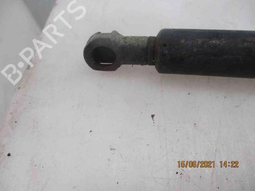 Tailgate lift support HYUNDAI ACCENT II (LC)  | BP19735639C138 