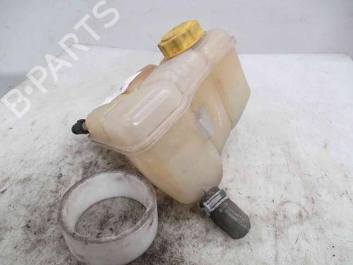 Expansion tank FORD FIESTA V (JH_, JD_) 1.6 TDCi | BP24013126C120 