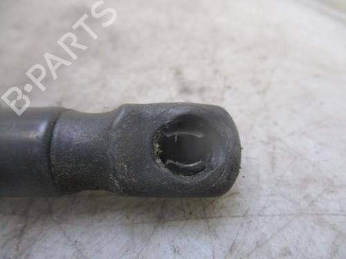 Tailgate lift support VW POLO (9N_, 9A_) 1.2 | BP26638221C138 