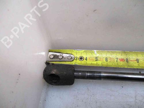 Tailgate lift support NISSAN MICRA III (K12) 1.2 16V | BP24006313C138 