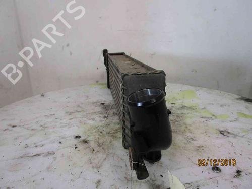 Intercooler NISSAN ALMERA II Hatchback (N16) | BP24008720M30