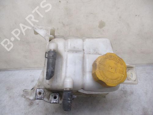 Expansion tank OPEL ANTARA A (L07) 2.0 CDTI 4x4 | BP25135902C120 