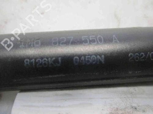 Tailgate lift support SEAT LEON (1M1) 1.4 16V | BP20508850C138 