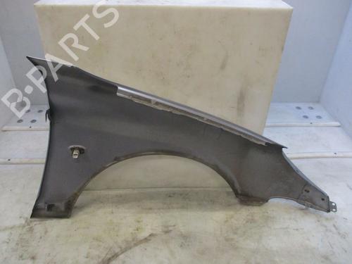 Left front fenders PEUGEOT 206 Hatchback (2A/C) 1.1 i | BP30865572C41