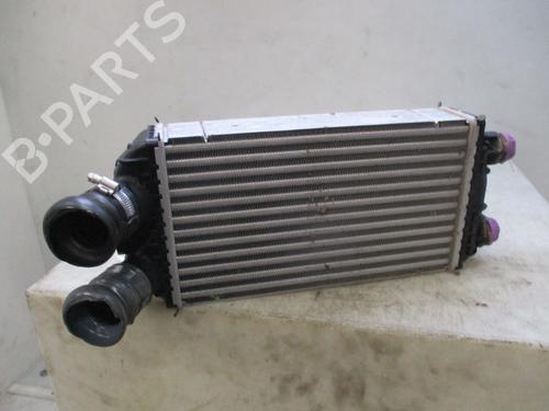 Intercooler PEUGEOT 208 II (UB_, UP_, UW_, UJ_) 1.2 PureTech 100 (101 hp) 31282943