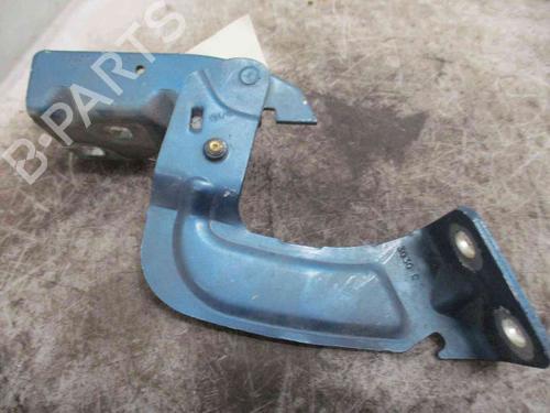 Hinge/Door check strap RENAULT KANGOO Express (FC0/1_)  | BP19713869C146 