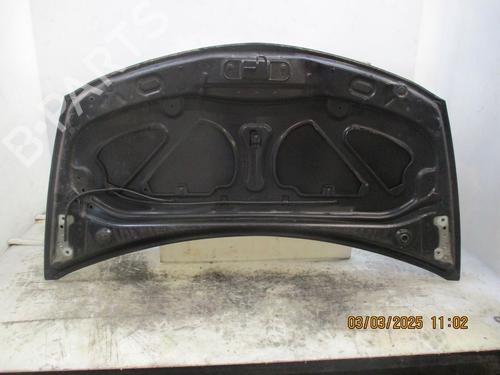 Hood RENAULT CLIO III (BR0/1, CR0/1) 1.2 16V (BR02, BR0J, BR11, CR02, CR0J, CR11) | BP26638354C1 