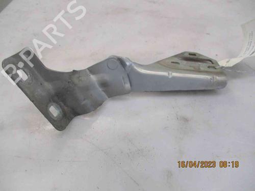 Hinge/Door check strap RENAULT MEGANE II (BM0/1_, CM0/1_)  | BP19739627C146 