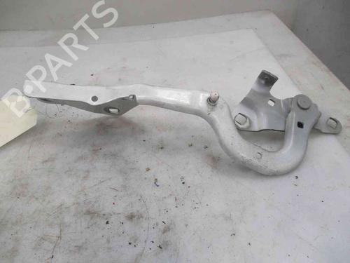 Hinge/Door check strap RENAULT SCÉNIC IV (J9_) 1.6 dCi 160 | BP26632166C146 