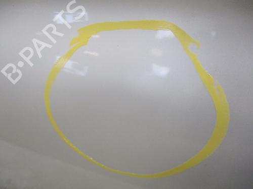 Left front door FIAT 500 (312_) 1.2 (312AXA1A) | BP29514915C2 