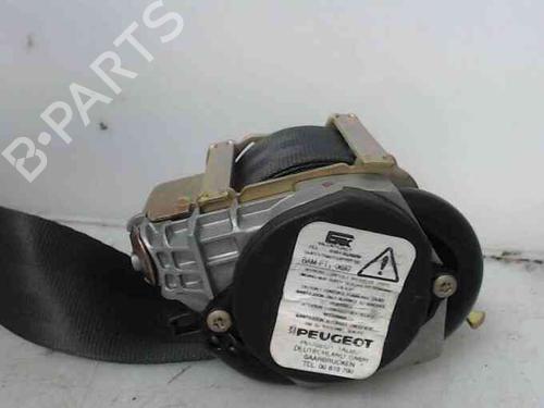 Front left belt tensioner PEUGEOT 1007 (KM_) 1.4 HDi | BP20201361C87 
