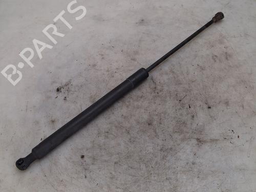 tailgate-lift-support-citroen-c3-ii-sc_-2009-39250361 main image