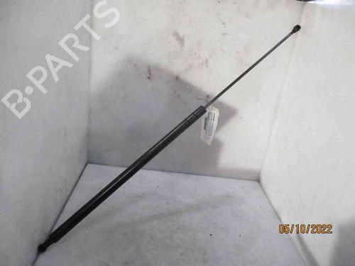 Used Tailgate lift support SEAT TOLEDO III (5P2) 1.9 TDI (105 hp) 25487318