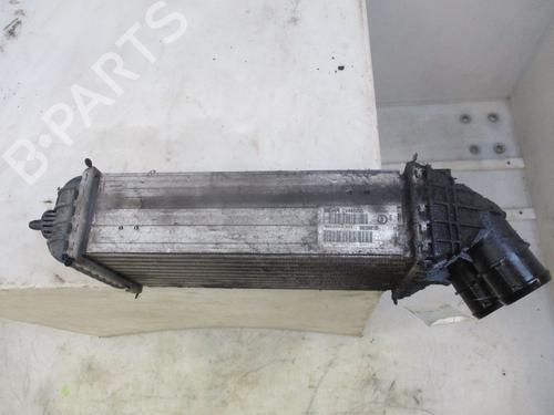 Intercooler PEUGEOT 2008 I (CU_) 1.6 BlueHDi 100 | BP24996615M30 