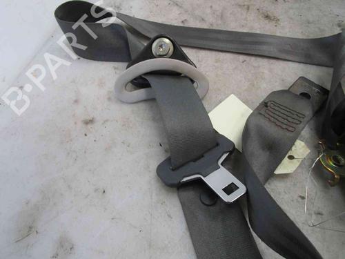 Rear right belt tensioner RENAULT MEGANE II (BM0/1_, CM0/1_) 1.9 dCi (BM0G, CM0G) | BP19718582C90 