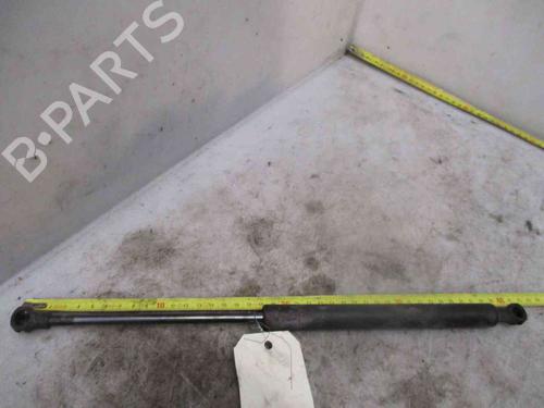 Pansergassdemper RENAULT ESPACE IV (JK0/1_) 2.2 dCi (JK0H) (150 hp) 26621834