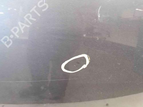 Hood CITROËN C3 II (SC_) 1.6 HDi 90 | BP24012790C1 