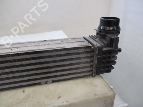 Intercooler RENAULT SCÉNIC III (JZ0/1_) 1.5 dCi | BP30163120M30