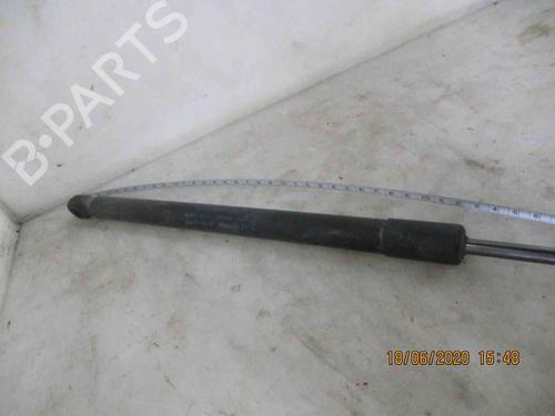 Tailgate lift support FORD FIESTA VI (CB1, CCN) 1.0 | BP19735218C138 