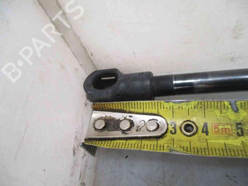 Tailgate lift support AUDI A3 (8P1) 1.6 | BP19734968C138 