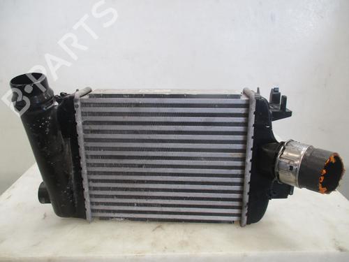 Used Intercooler Intercooler RENAULT CLIO V (B7_) 1.3 TCe 140 (B7N0) (140 hp) 36168884 36168884