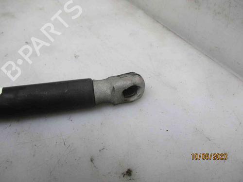 Tailgate lift support VW GOLF V (1K1)  | BP24012178C138 