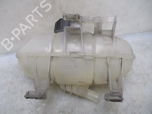 Expansion tank RENAULT TRAFIC III Van (FG_) 1.6 dCi 115 (FGMD) | BP26637716C120 