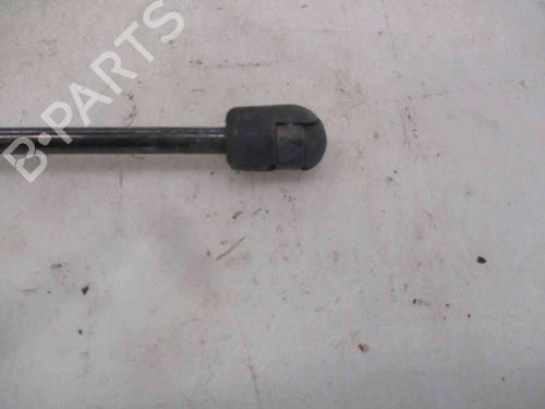 Tailgate lift support CITROËN C3 I (FC_, FN_)  | BP24012856C138 