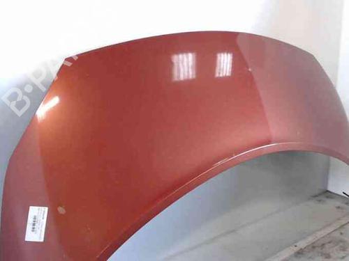 Hood RENAULT SCÉNIC II (JM0/1_) 1.5 dCi (JM0F) | BP20206175C1 