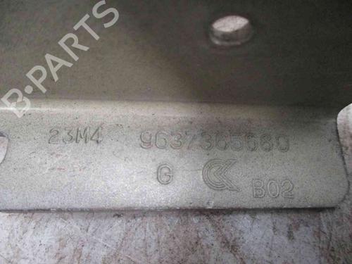 Hinge/Door check strap CITROËN C3 I (FC_, FN_) 1.4 i | BP19719996C146 