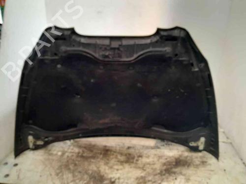 Hood SEAT TOLEDO III (5P2) 2.0 TDI 16V | BP25909871C1 