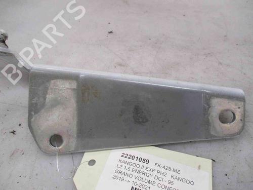 Hinge/Door check strap RENAULT KANGOO Express (FW0/1_)  | BP26624670C146 