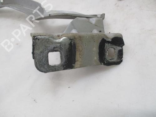 Hinge/Door check strap NISSAN QASHQAI / QASHQAI +2 I (J10, NJ10, JJ10E) 1.5 dCi | BP24971092C146 