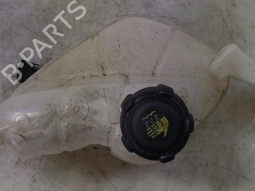 Used Expansion tank RENAULT KADJAR (HA_, HL_) 1.5 BLUE dCi 115 (HLA6) (116 hp) 26969246