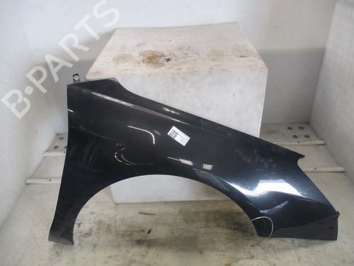 right-front-fenders-citroen-c5-iii-rd_-2008-2009-2010-2011-2012-2013-2014-2015-2016-2017-39966129 main image