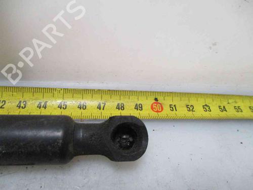 Tailgate lift support RENAULT CLIO IV (BH_) 1.5 dCi 90 | BP20204704C138 