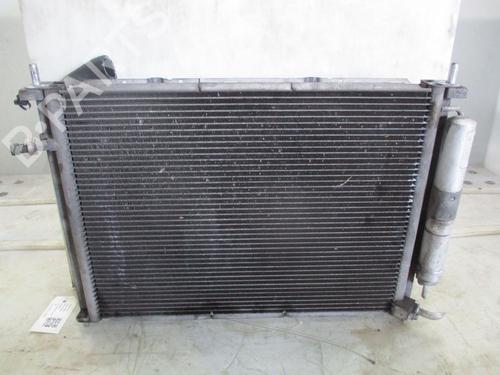 Water radiator RENAULT CLIO III (BR0/1, CR0/1) 1.4 16V | BP29263304M31 
