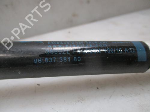 Tailgate lift support PEUGEOT 5008 (0U_, 0E_) 1.6 BlueHDi 120 | BP26635884C138